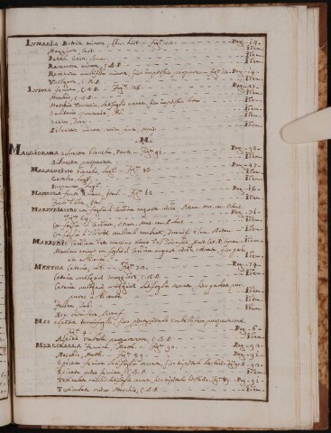 Anteprima dell'oggetto