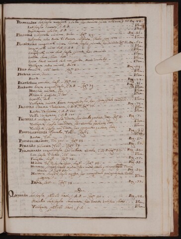 Anteprima dell'oggetto