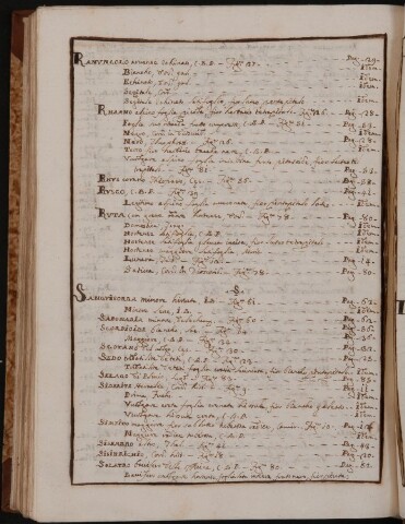 Anteprima dell'oggetto