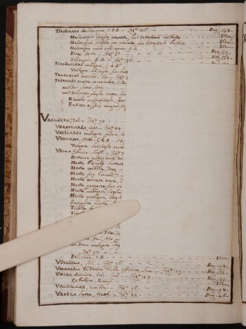 Anteprima dell'oggetto