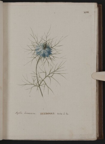 Anteprima dell'oggetto