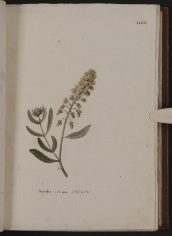 Anteprima dell'oggetto