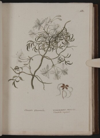 Anteprima dell'oggetto