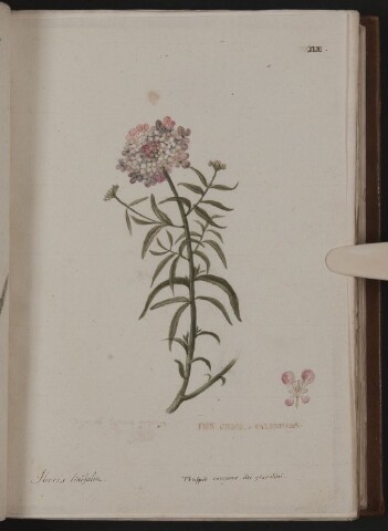 Anteprima dell'oggetto