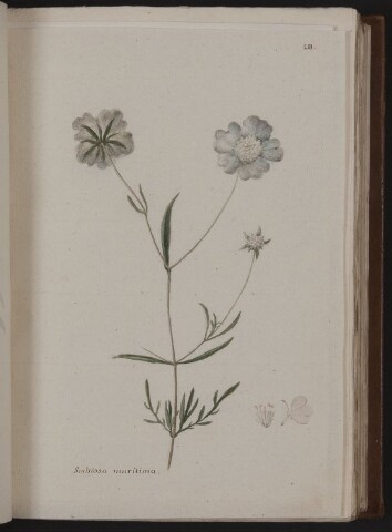 Anteprima dell'oggetto