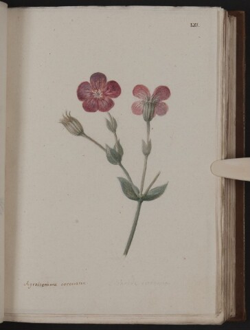 Anteprima dell'oggetto