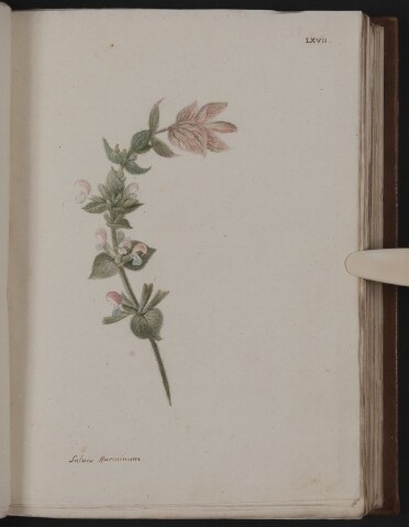 Anteprima dell'oggetto