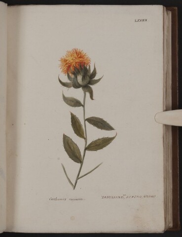 Anteprima dell'oggetto