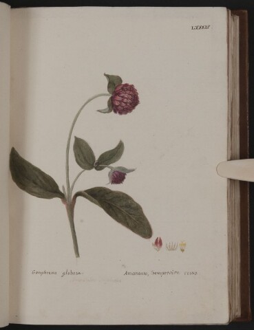 Anteprima dell'oggetto