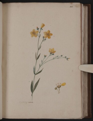 Anteprima dell'oggetto