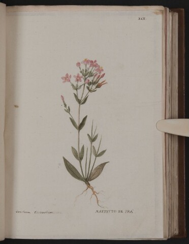 Anteprima dell'oggetto