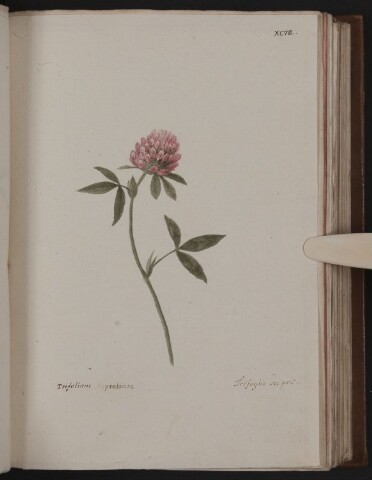 Anteprima dell'oggetto