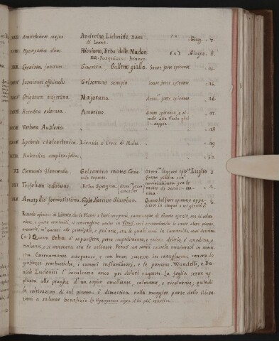 Anteprima dell'oggetto