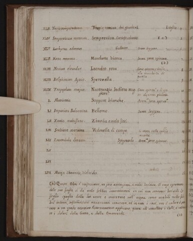 Anteprima dell'oggetto