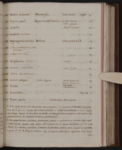 Anteprima dell'oggetto