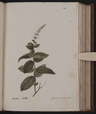 Anteprima dell'oggetto