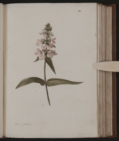 Anteprima dell'oggetto