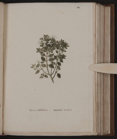 Anteprima dell'oggetto