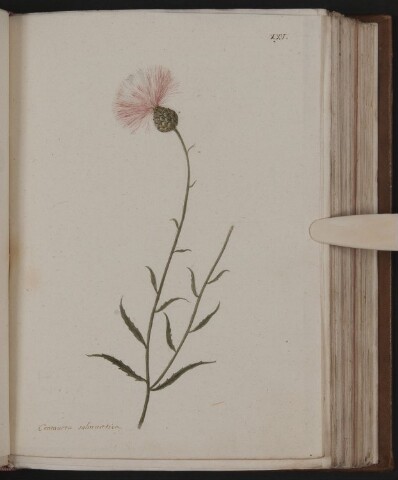 Anteprima dell'oggetto