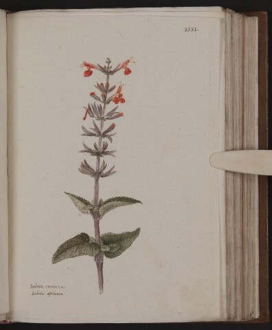 Anteprima dell'oggetto