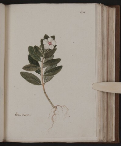 Anteprima dell'oggetto