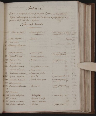 Anteprima dell'oggetto