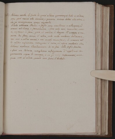 Anteprima dell'oggetto