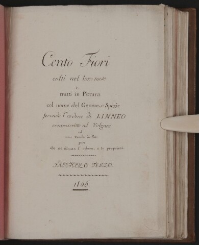 Anteprima dell'oggetto