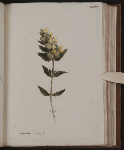 Anteprima dell'oggetto