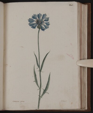 Anteprima dell'oggetto