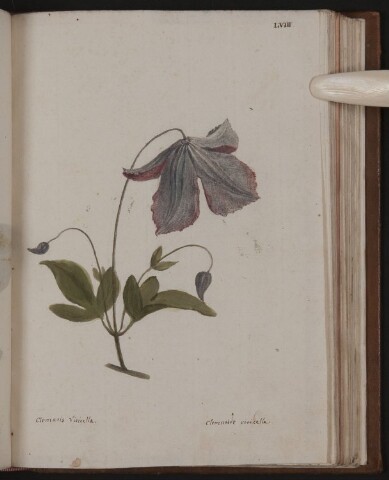 Anteprima dell'oggetto