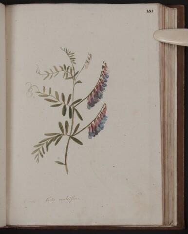 Anteprima dell'oggetto