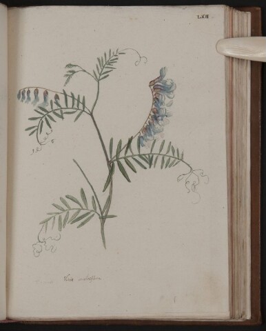 Anteprima dell'oggetto