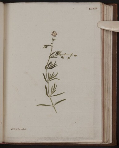 Anteprima dell'oggetto