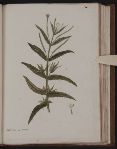 Anteprima dell'oggetto