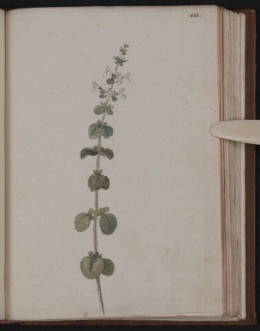 Anteprima dell'oggetto