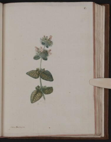 Anteprima dell'oggetto