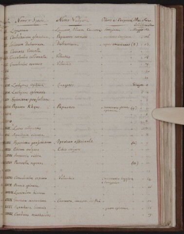 Anteprima dell'oggetto