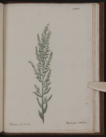 Anteprima dell'oggetto