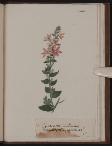 Anteprima dell'oggetto