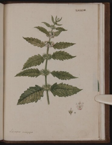 Anteprima dell'oggetto