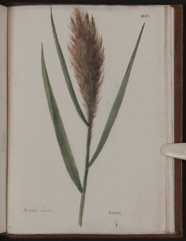 Anteprima dell'oggetto