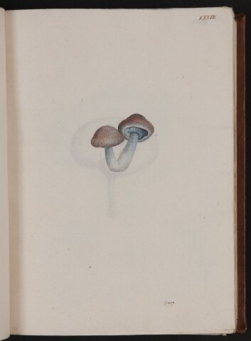 Anteprima dell'oggetto