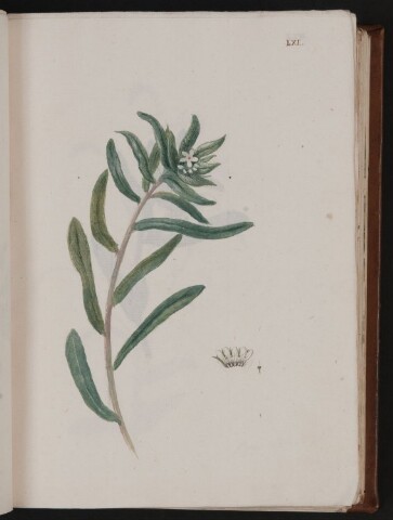 Anteprima dell'oggetto