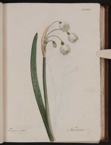 Anteprima dell'oggetto