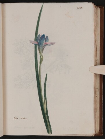 Anteprima dell'oggetto