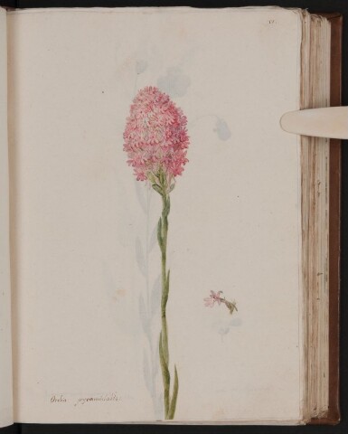 Anteprima dell'oggetto