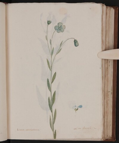 Anteprima dell'oggetto