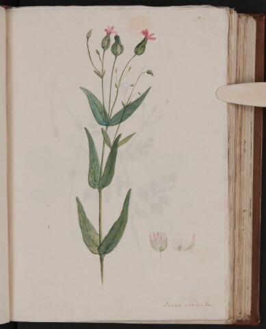 Anteprima dell'oggetto