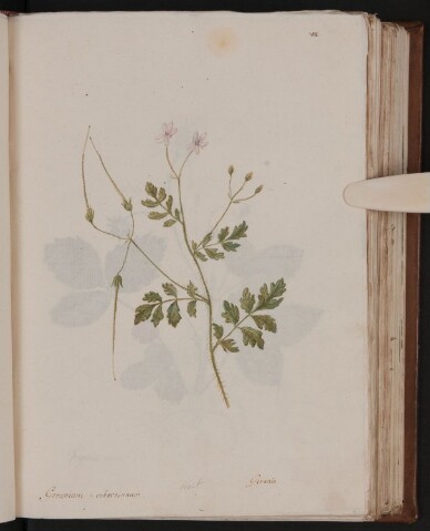 Anteprima dell'oggetto